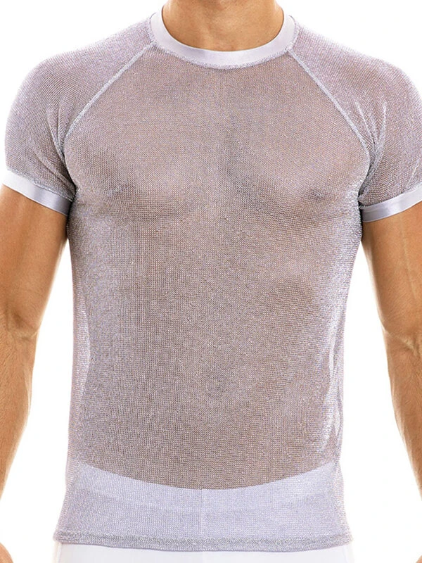 Men's Sexy Shiny Mesh See-through T-Shirts 4 Men's Sexy Shiny Mesh See-through T-Shirts - Image 2